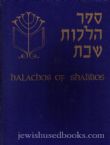 Halachos of Shabbos Section 3
